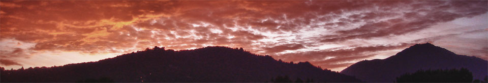Mount Tamalpais and Christmas tree hill